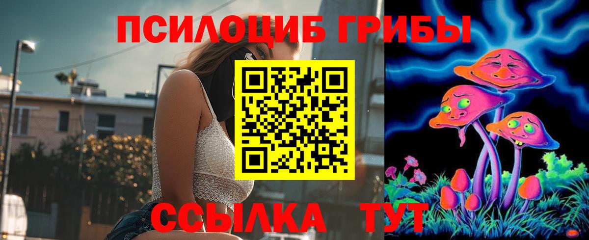 Кувандык  Галлюциногенные грибы мухоморы  Псилоцибиновые грибы MAGIC MUSHROOMS  продажа наркотиков  Вход с VPN 